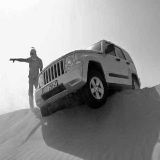 烈鸟招聘 创始人